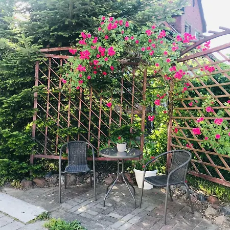 Pokoje Nad Zalewem Wislanym ホームステイ Suchacz